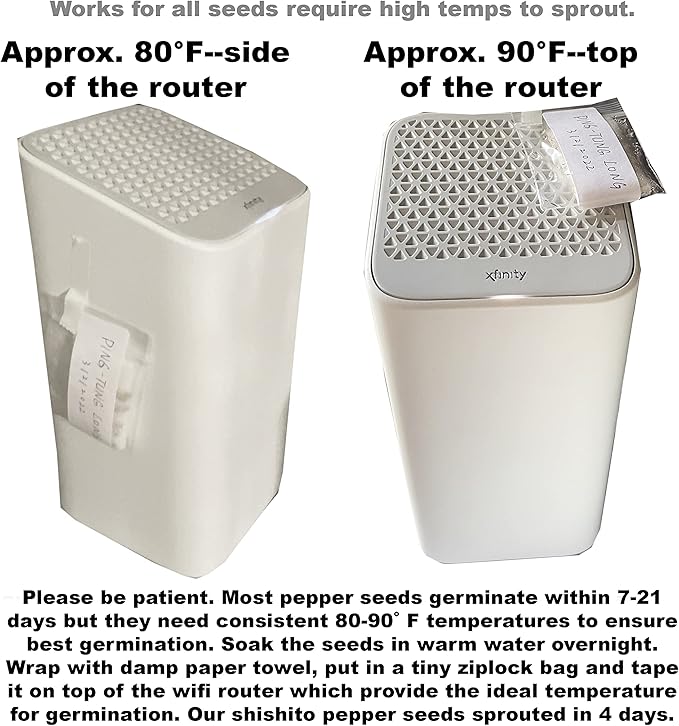 2025 Early Bird-Hot Pepper Seeds for Planting,Non-GMO Heirloom Seeds Vegetable Seeds,Asian Chile Pepper Seeds for Home Vegetable Garden & Hydronic Pods,泰国小米椒(50ct Veggie Seeds-Thai Bird)