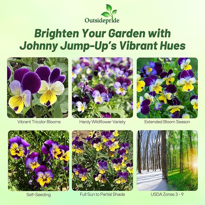 Outsidepride 1/2 lb. Perennial Viola Johnny Jump Up Flower Seeds for Planting