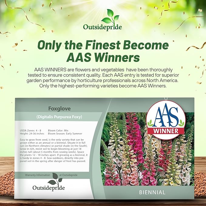 Outsidepride Digitalis Purpurea Foxy Foxglove Seeds – 10000 Pcs Biennial, Prolific, Tall Growing Flower Seeds w/Pollinator-Friendly Blooms for Shaded Gardens & Outdoor Landscapes (AAS Winner)