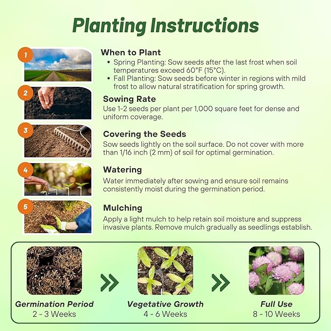 Outsidepride 2000 Seeds Annual Salmon Gomphrena Globosa Flower Seed for Planting