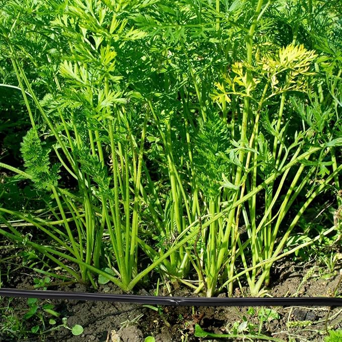 Garden Irrigation Tubing,1/4" Blank Distribution Tubing 100ft Flexible Tubing,Watering Drip Automatic Irrigation Equipment Set for Garden Greenhouse,Flower,Patio,Lawn (100 ft)