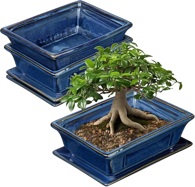 Bonsai Pots Small Shallow Succulent Planters for Live Bonsai Trees Set of 2, 7.5" Ceramic Pot for Succulents Indoor with Drainage Hole and Saucer, Outdoor Cactus Plant Bonsai Pot