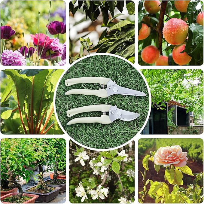 Premium garden shears, meperez pruning scissors gardening tools, pruners for flower, bushes, rose and fruit tree, use for florist, yard and orchard the plant clippers, sharp steel anvil snips