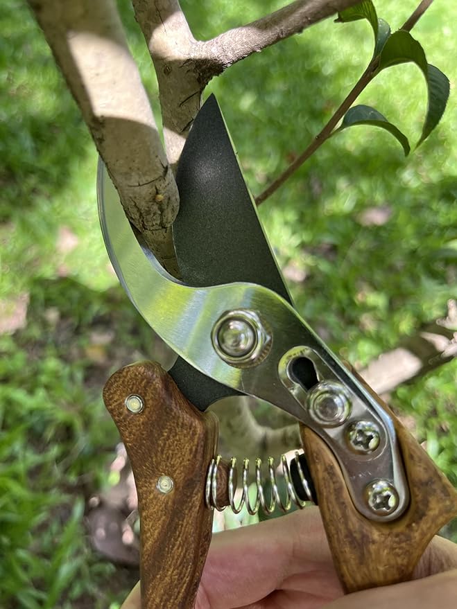 Garden Shears, Japanese Floral branch cutters, Snips for Gardening, Flower scissors Florist clippers, Hand Held Pruners for Gardening Heavy Duty, Pruning shears for garden (Wood Black)