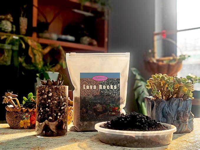 Lava Rocks for Plants, 2lbs Volcanic Stones Gravel Horticultural Drainage Potting Soil for Indoor Outdoor Plants, Succulents, Bonsai, Cactus, Vase Fillers, Top Dressing (2LBS, Black, 1)