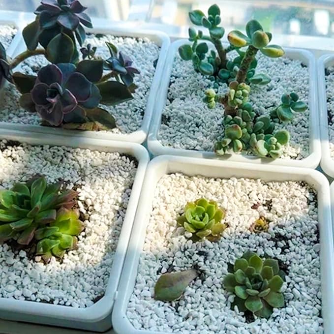 9 Quarts Perlite for Plant Soil - Amendment for Potting Soil, Improves Drainage and Aeration for Soil,Better for Root Growth…