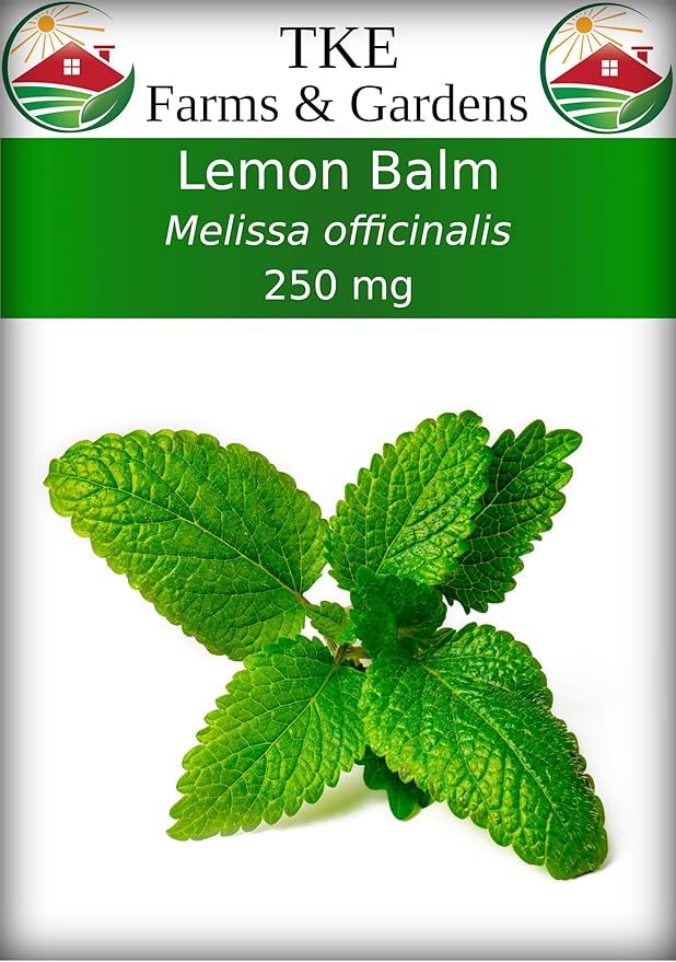 TKE Farms & Gardens - Lemon Balm Seeds for Planting, 250Mg, 300+ Heirloom, Non-GMO Seeds, Instructions Included to Grow This Fragrant Medicinal Herb, Melissa officinalis, Qty 1