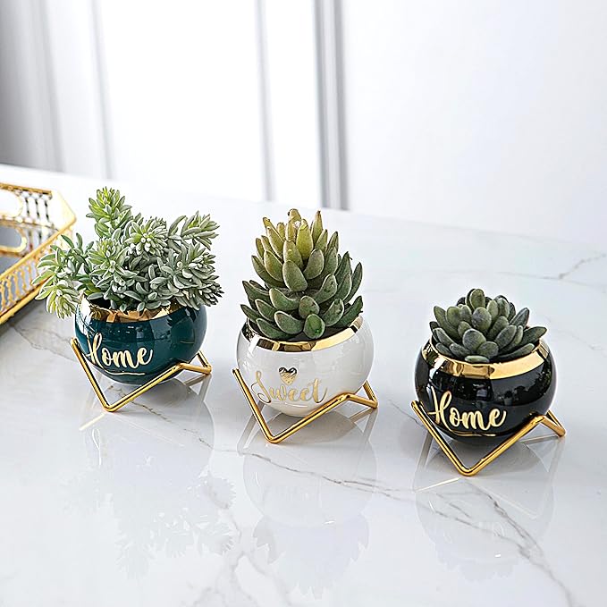 House Warming Gifts New Home, Housewarming Gifts for New House, Best Housewarming Gifts, Home Essentials for New Home Gift Ideas, Living Room Home Decor Farmhouse | 3 Succulent Pots for Plant Lovers