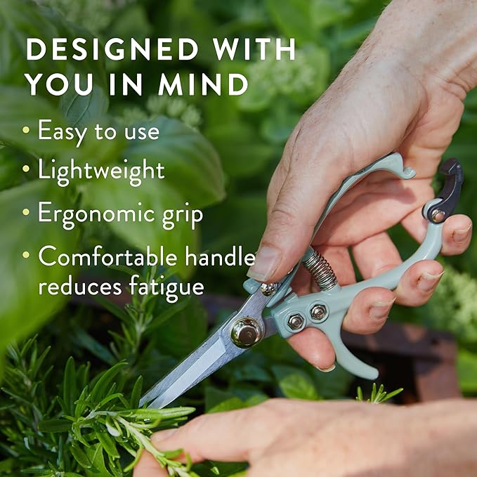 Modern Sprout Pruning Shears for Gardening, Herb Snips, Flower Cutting Scissors, Indoor Plant Shears, Lightweight, Ergonomic, Carbon Steel Blade, Easy-Lock Safety, Aesthetic (Chartreuse)