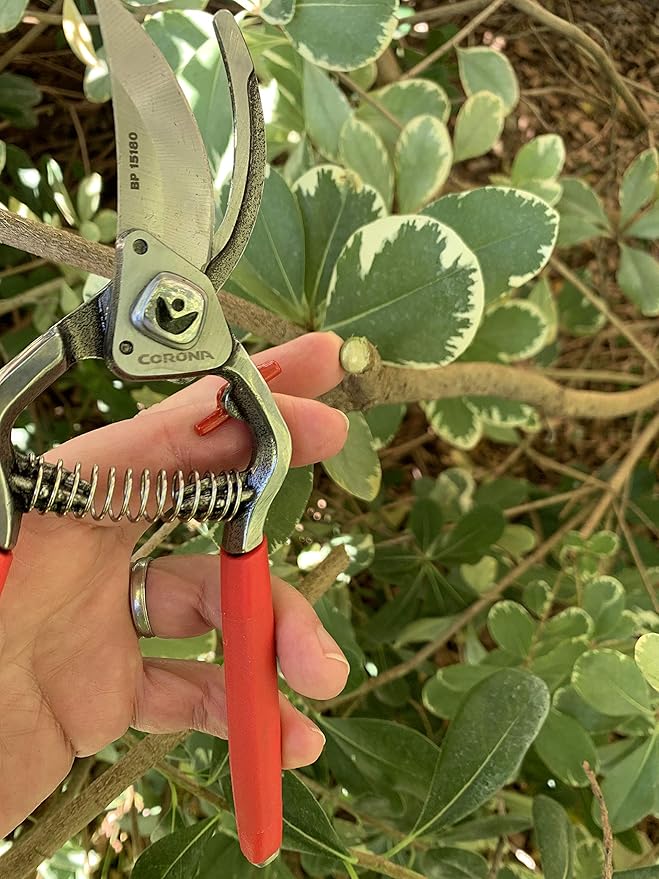 Corona BP15180 Forged Steel ClassicCUT Bypass Hand Pruner - 1 inch Cut Capacity Stem and Branch Garden Shears, Red