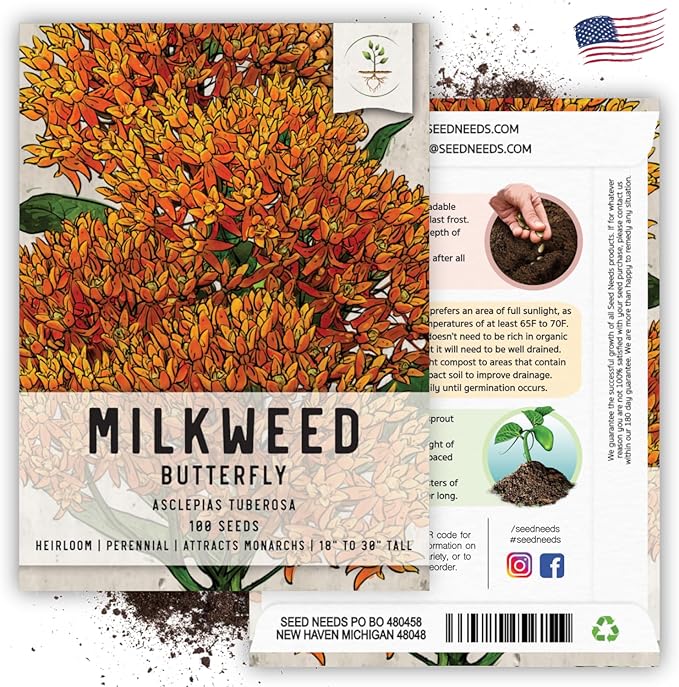 Seed Needs Orange Butterfly Milkweed Seeds for Planting - Heirloom & Untreated - Grow a Butterfly Garden to Attract Monarch Butterflies & Pollinators (1 Pack)
