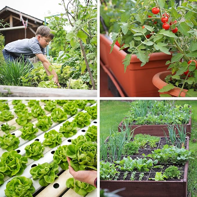 21 Varieties Vegetable Seeds for Planting, 7,000+ Heirloom Seeds Gift Pack, Non-GMO Veggies Seed Garden Kit for Indoor Outdoor Growing, Home Fresh Food Vegetable Supply