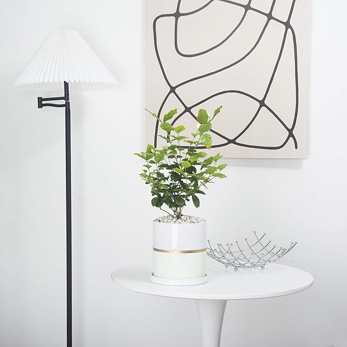 Ekirlin 8 inch Plant Pot - Ceramic Flower Planters Indoor - Modern Succulents Containers with Drain Hole Saucer, Decorate Home, Office & Outdoor (Green)