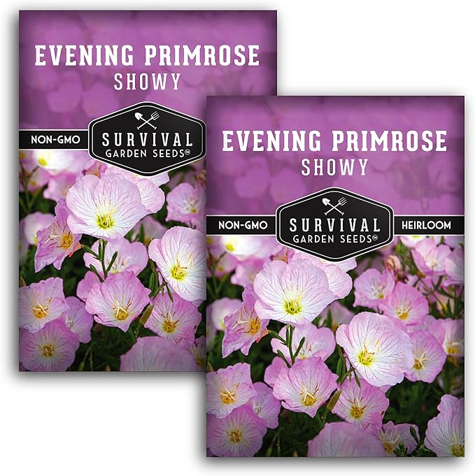 Showy Evening Primrose Seed for Planting - 2 Packets with Instructions to Plant and Grow Pinkladies in Your Home Flower Garden - Non-GMO Heirloom Variety - Survival Garden Seeds - Mexican Primrose