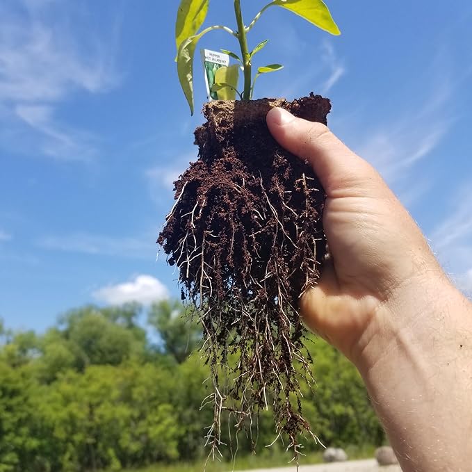 Daniel's Plants 4" Naked Pots | Large Natural Plantable Seed Starter Pots | OMRI-Listed Biodegradable Pots for Seedlings | Enhanced Aeration | Earth Freindly - Peat Free | 30 Pack 4 Inch Round