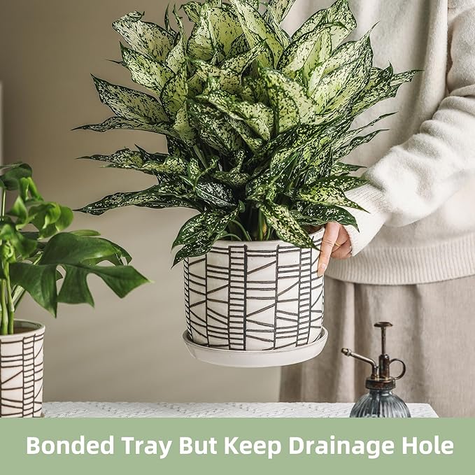 8 Inch Plant Pot: Ceramic Planter with Drainage Hole & Saucer for Indoor Outdoor Plants - Flowerpot with Bonded Tray for Home Office - Striped Debossed