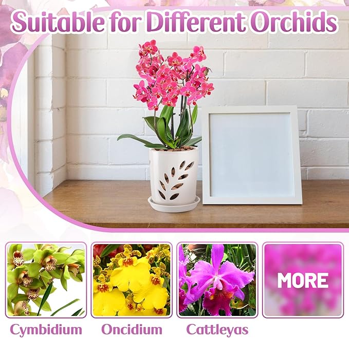 Aulock 4in Ceramic Orchid Pot with Holes - Decorative Orchid Pot Leaf Hollow with Saucer, Excellent Air Circulation, for Dendrobium Oncidium Cattleya Repotting Indoor Outdoor