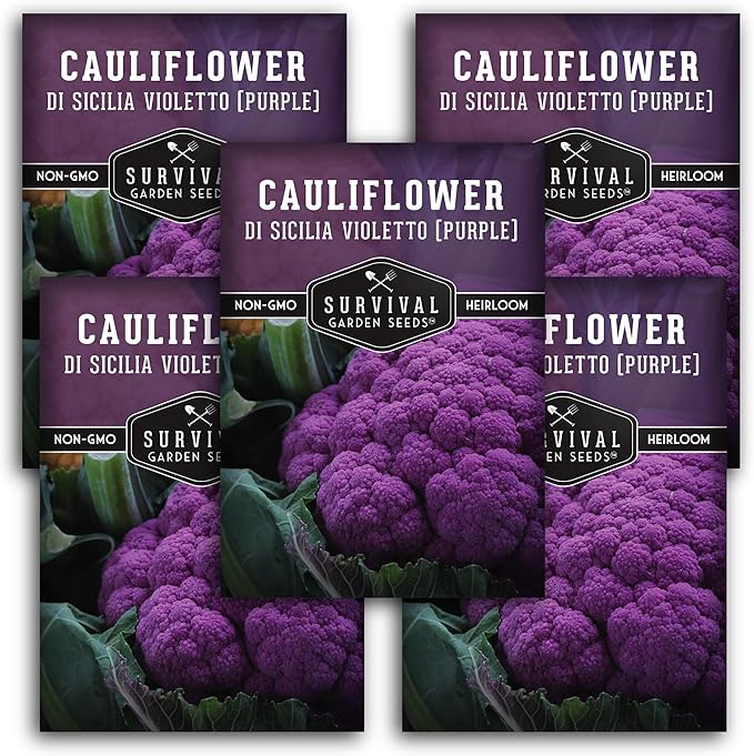 Di Sicilia Violetto Purple Cauliflower Seed for Planting - 5 Packets with Instructions to Plant & Grow Unique Cauliflower Plants in Your Home Garden - Non-GMO Heirloom Variety - Survival Garden Seeds
