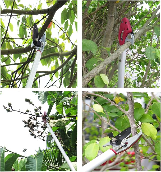 2 Feet Cut and Hold Tree Pruner, Rotation Pole Tree Trimming, Short Reach Fruit Picker, Branches Bypass Lopper