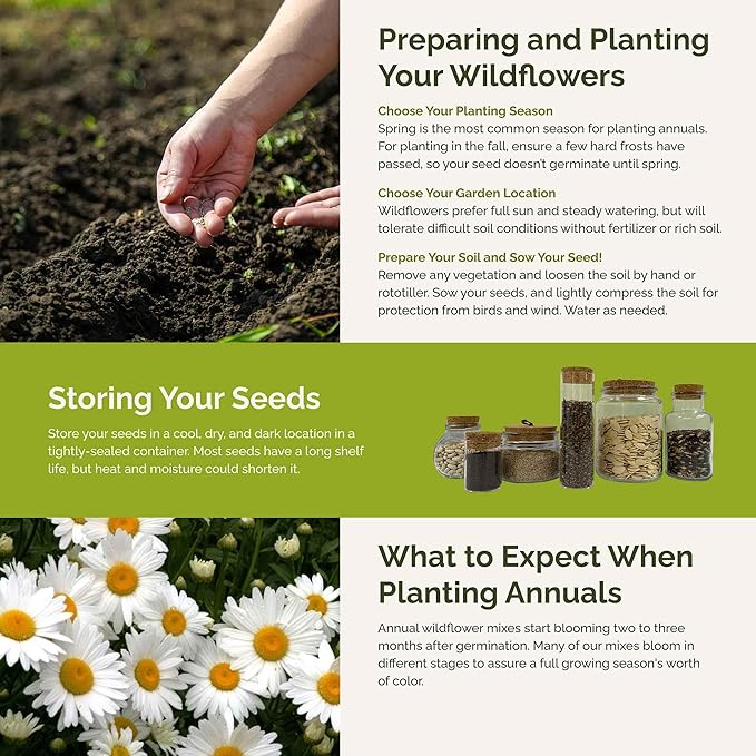 Eden Brothers Cloud 9 Flower Mixed Seeds for Planting, 1/4 lb, 120,000+ Seeds with White Candytuft, Cosmos Purity | Attracts Pollinators, Plant in Spring or Fall, Zones 3, 4, 5, 6, 7, 8, 9, 10