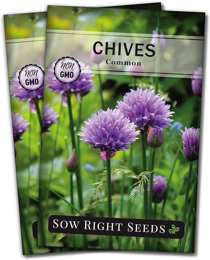 Sow Right Seeds - Common Chives Seed for Planting - Non-GMO Heirloom Packet with Instructions to Plant and Grow Kitchen Herb Garden Indoor or Outdoor - Mild Onion Flavor (2)
