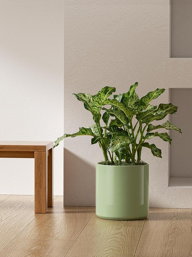 LE TAUCI 12 Inch Pots for Plants, Ceramic Large Plant Pot for Indoor Plants, Mid-Century Modern Planter Pot with Drainage Hole, Reactive Glaze Green