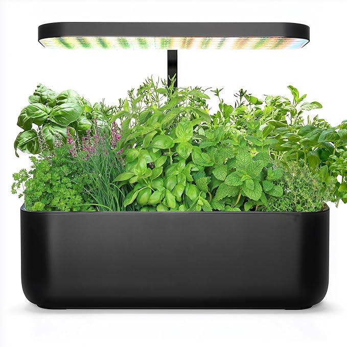 15,000+ Herb Seeds for Planting, 13 Varieties Heirloom Culinary Herb Seeds Gift Pack, Non-GMO Herb Seed Garden Kit for Indoor Outdoor Growing, Home Hydroponic Fresh Food Herb Supply