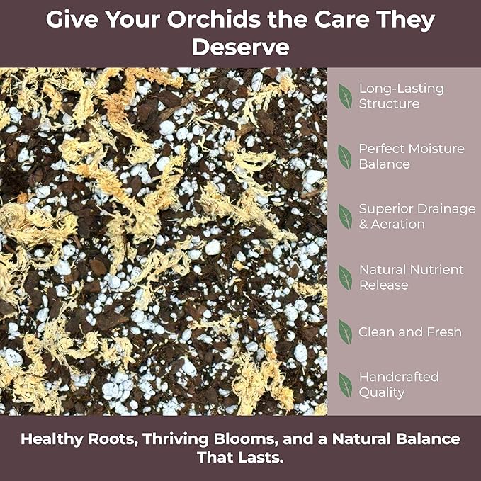 Orchid Potting Mix – Orchid Bark, Sphagnum Moss, Tree Fern & Perlite for Repotting Phalaenopsis Orchids, Indoor Plants, Orchid Soil Medium – Sustrato para Orquídeas (2 Quart)