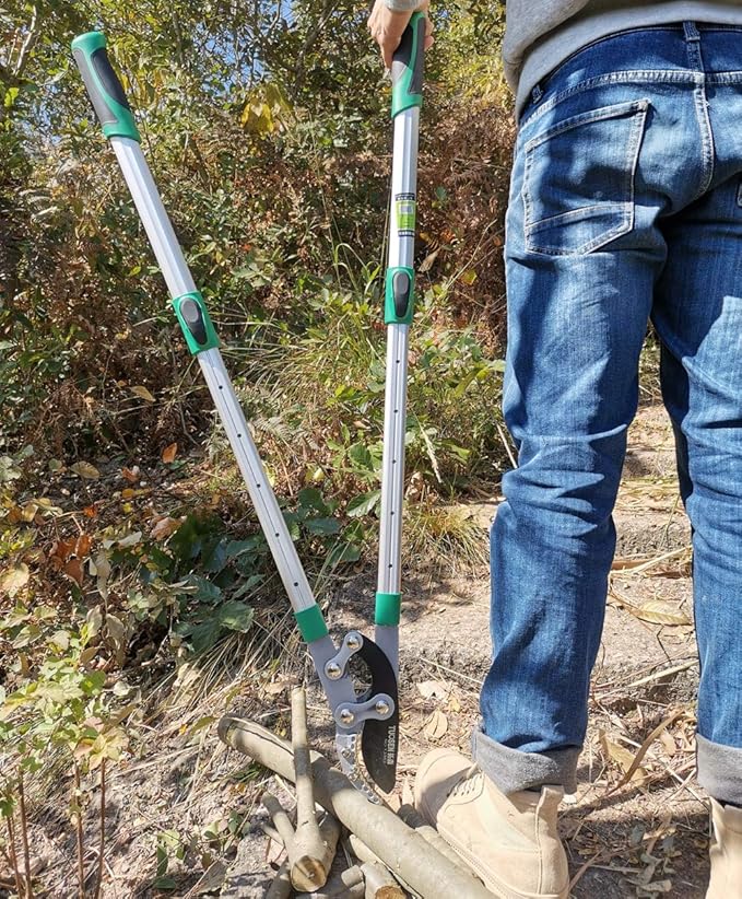 Heavy Duty Anvil Lopping Shears -2 inch Cutting Capacity Bypass Lopper - Extendable 26 Inch to 41 Inch,Professional Tree Branch Cutter