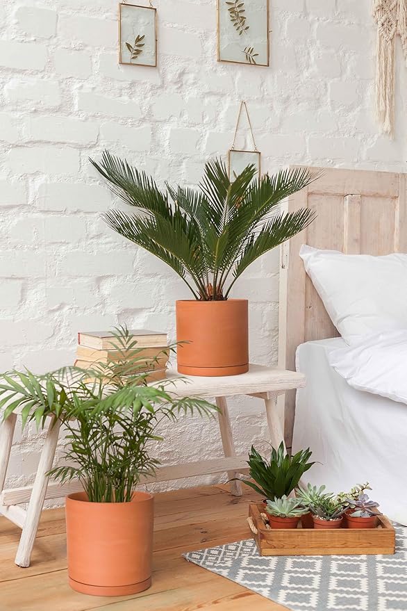 D'vine Dev Terracotta Pots for Plants, 6.5 Inch 7.8 Inch 9.6 Inch, Round Cylinder Planter Pot with Drainage and Saucer, 40-T-C-0