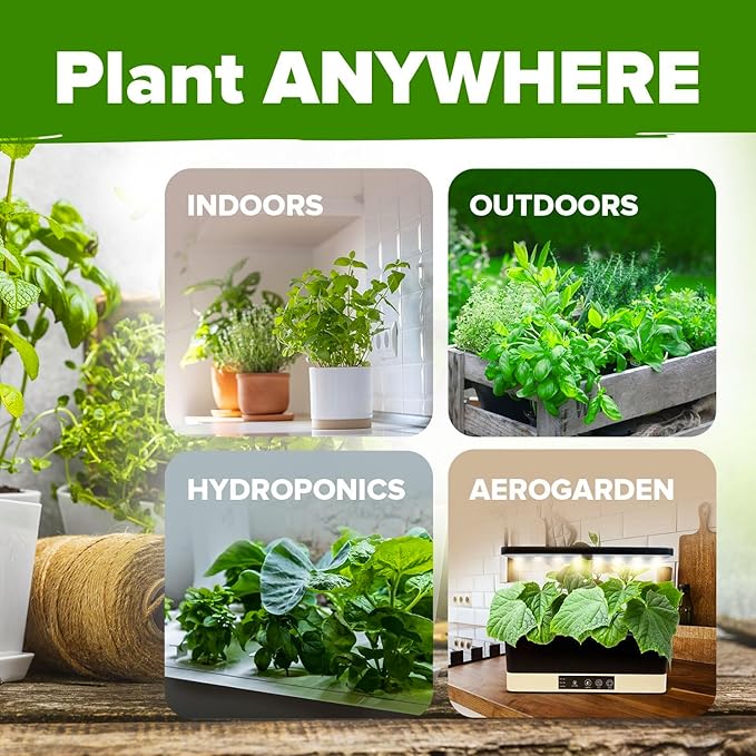 10 Culinary Herb Seeds - Non-GMO, Heirloom Seeds - 3000+ Seeds for Planting for Outdoor or Indoor Herb Garden, Basil, Cilantro, Parsley, Chives, Thyme, Oregano, Dill, Marjoram, Mint, Tarragon
