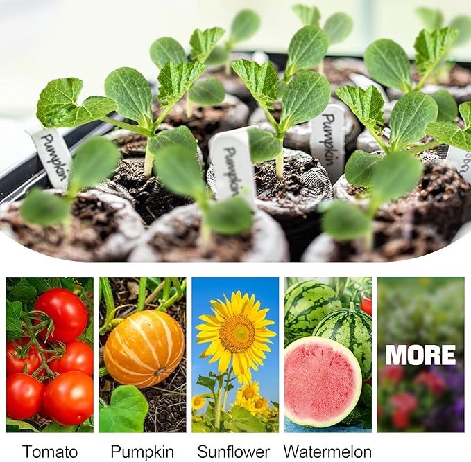 100pcs 50mm Peat Pellet, Plant Starting Plugs, Compressed Garden Soil Block with Labels, Plant Pods Bulk for Seedling Transplanting Herb Flower Vegetables