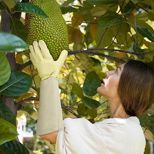 HLDD HANDLANDY Long Gardening Gloves for Women Thorn Proof, Rose Pruning Cowhide Leather Garden Gloves for Yard, Light Yellow, M