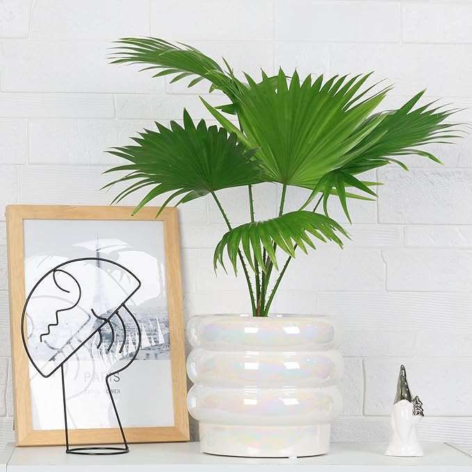 7.8 Inch + 5.7 inch 2 pcs Ceramic Plant Pots for Indoor Plants, Rainbow Pearl Glaze Planter with Planters for Plants with Drainage Hole, Orchid Pots, Succulent Pot, Flower Pot (White)