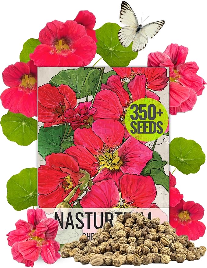 Seed Needs, 350+ Nasturtium Seeds “Cherry Rose” (Tropaeolum Minus) Non-GMO, Easy to Grow Flower Seeds, Attracts Pollinators - Bulk