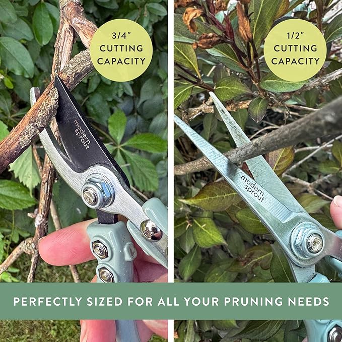 Modern Sprout Gardening Shears & Pruners 2-pack, Lightweight, Durable, One Size (Ocean)