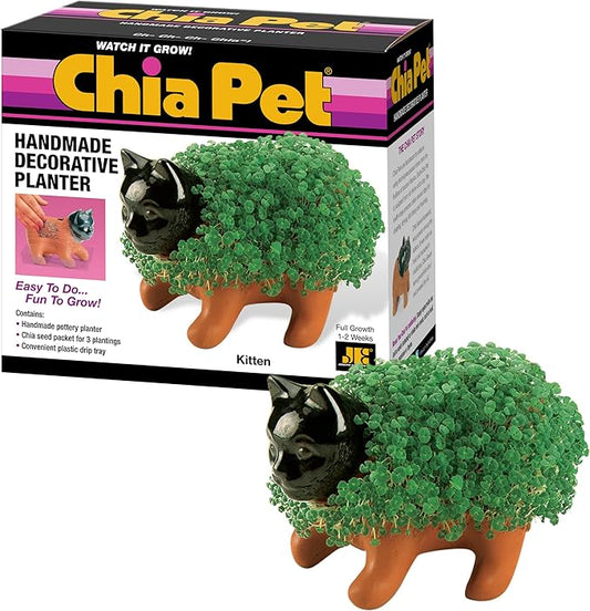 Chia Pet Kitten with Seed Pack, Decorative Pottery Planter, Easy to Do and Fun to Grow, Novelty Gift, Perfect for Any Occasion