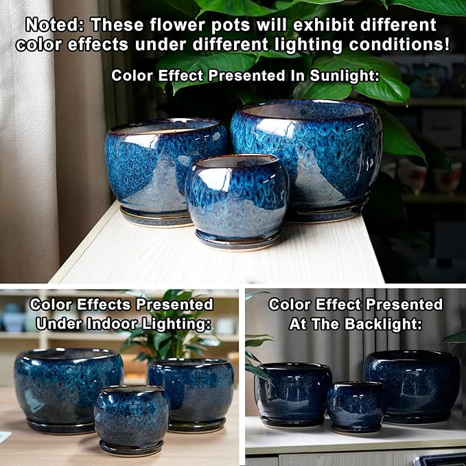 SQOWL 6 Inch Plant Pot - Ceramic Planter Pot with Drainage Hole and Saucer, Succulent Pot Round Flower Pot for Indoor Plants Outdoor, Blue