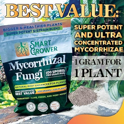 Mycorrhizal Fungi Organic Root Enhancer for Plants, Super Potent 100 Spores Per Gram, 5-Strain Blend, Rapid Results for Gardens, Houseplants, Lawns, Smart Grower 250 Grams (2 Pack of 125G)