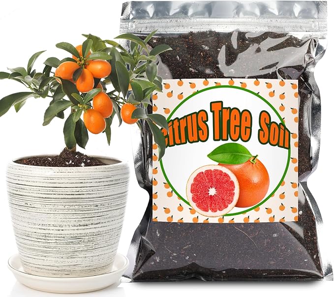 Citrus Tree Potting Soil Mix, Organic Loamy Potting Soil for Potted Lemon or Lime Tree, Special Blend for Indoor Oranges, Lemons, Limes and More