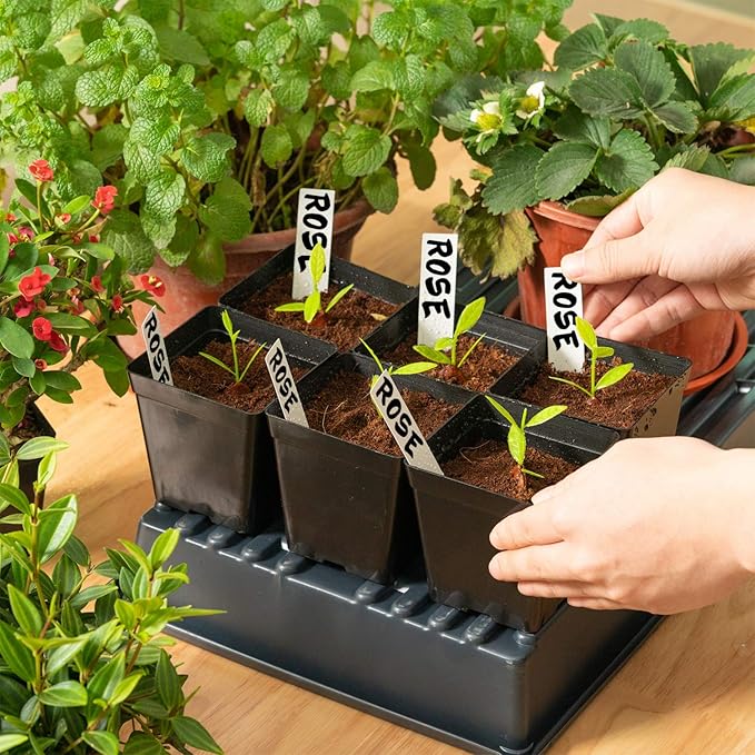 June Fox Square Nursery Pots 3.3 Inches Flexible Plastic Seedling Pots Square Pots for Plants, Succulent, Flower, Pack of 60, with 60 PCS Plant Labels