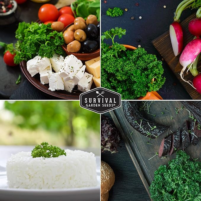 Survival Garden Seeds - Curled Parsley Seed for Planting - 2 Packs with Instructions to Plant and Grow Nutritious Curly Parsley Herb Plants in Your Home Vegetable Garden - Non-GMO Heirloom Variety