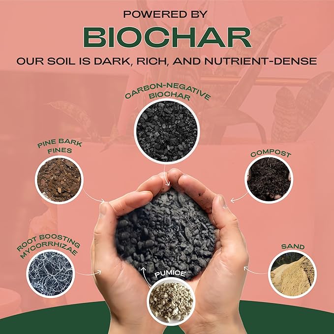 Cactus and Succulent Organic Potting Soil Mix for House Plants - Fast Draining, Root Boosting, Peat-Free, Less Prone to Gnats - Drought-Tolerant - Growth of Aloe Vera, Cacti and Indoor Succulents- 4qt