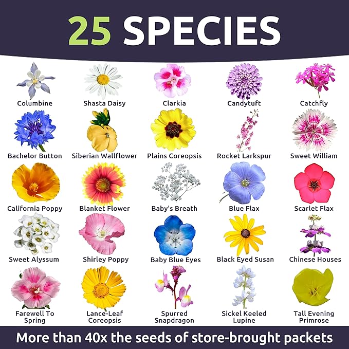 Pacific Northwest Regional Mix - Bulk 1/4 Pound Pouch - 96,000 Flower Seeds for Planting - Wildflower Mix