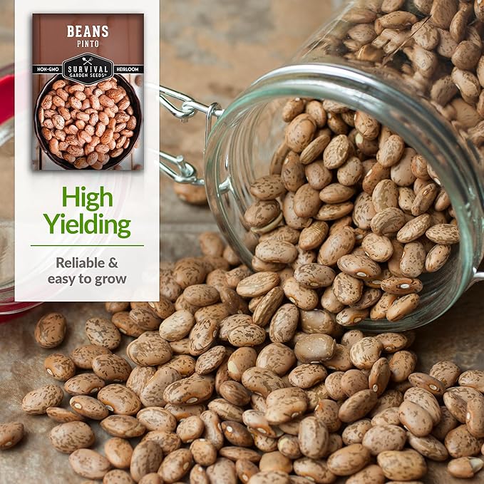 1 Pack Pinto Bean Seeds for Planting with Instructions for Growing Mottled/Peruano Beans in The Home Vegetable Garden - Non-GMO Open-Pollinated Heirloom & Untreated Seed - Survival Garden Seeds