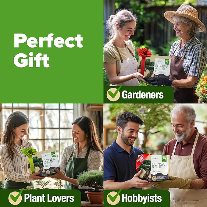 HOME GROWN Bonsai Tree Kit: Unique Christmas Gift for Men - Bonsai Starter Kit w/ 6 Seed Varieties - Unique Designed Pots - All-in-One Craft Kit for Adults for Gardeners & Plant Lovers