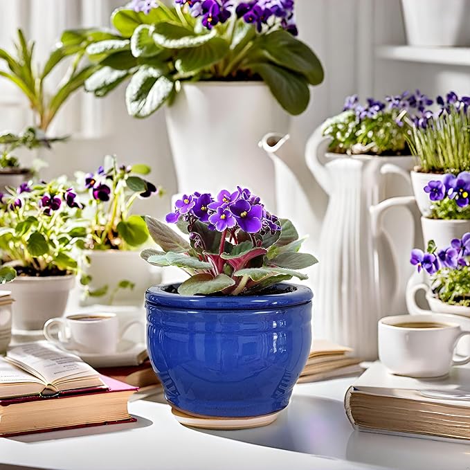African Violet Pots Self Watering 6 inch Round Ceramic Violet Pot Blue