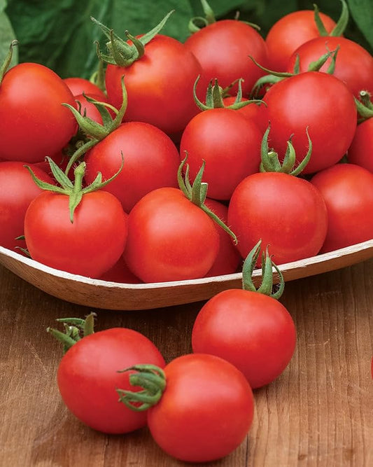 Burpee 'Chadwick Cherry' Organic, Red Cherry Tomato, 75 Non-GMO Seeds