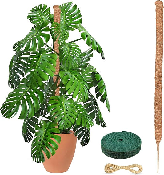 EcoNour Moss Pole for Plants – 48 inches | Monstera Plant Support for Plant Climbing and Growth | Elevate Your Indoor Garden, Plant Support for Indoor Potted Plants to Grow Upwards