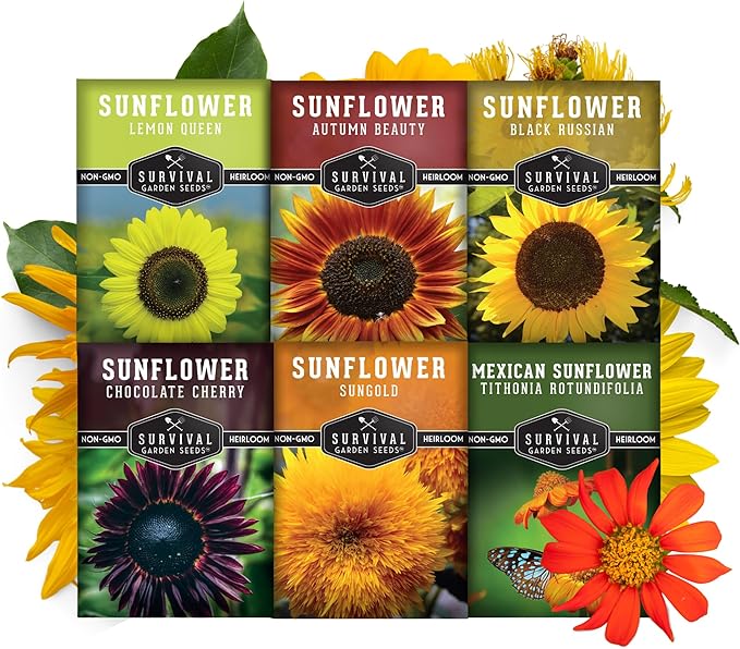 Survival Garden Seeds Sunflower Collection - Autumn Beauty, Black Russian, Chocolate Cherry, Sungold, Lemon Queen, & Mexican Sunflower Varieties - Non-GMO Heirloom Seeds for Planting & Growing